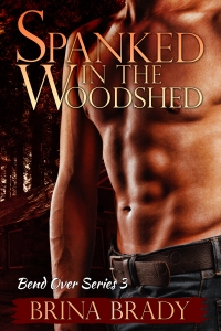 Spanked in the Woodshed E-Book Cover